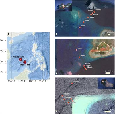 Nearshore to Offshore Trends in Plankton Assemblage and Stable Isotopes in Reefs of the <mark class="highlighted">West Philippine Sea</mark>